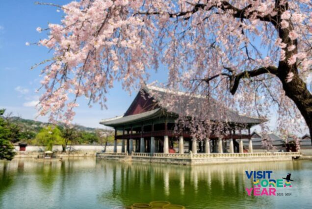 Korea Luxury Holiday Package from Dubai, UAE